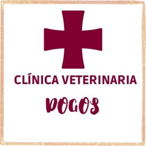 Clínica Veterinaria Dogos