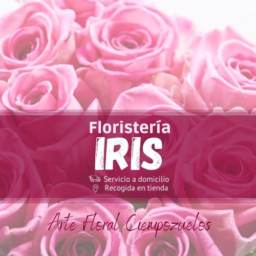 Floristeria iris ciempozuelos